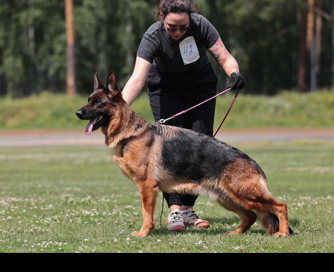 Evelin iz Belogo Jara