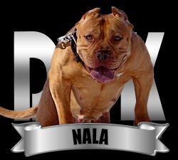 DDK9'S NALA