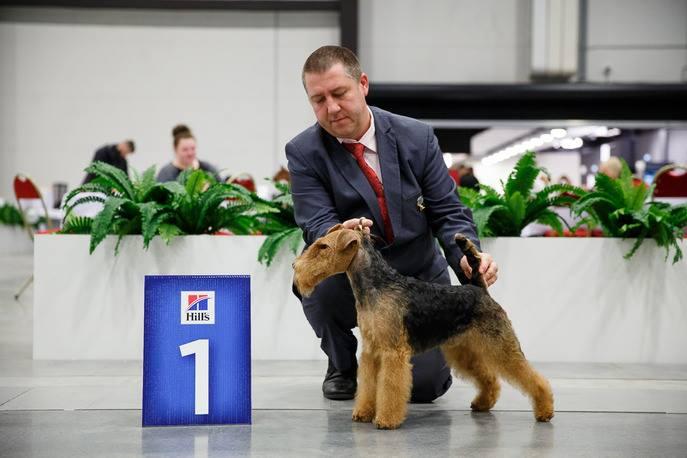 Zeus Darwyn vom Granitfelsen