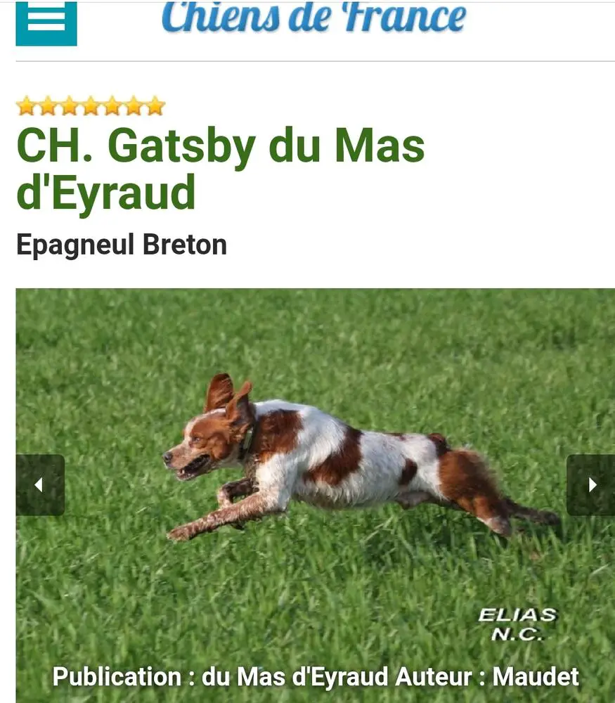 GATSBY du Mas d'Eyraud