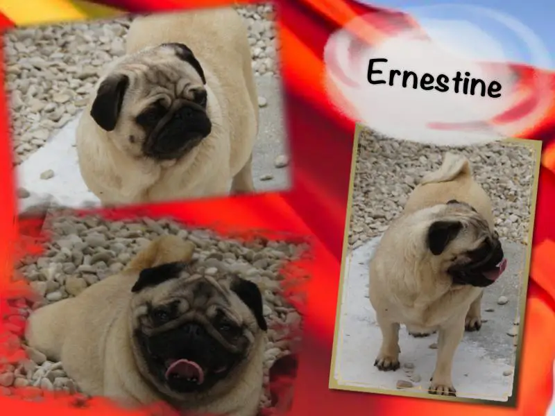 ernestine k