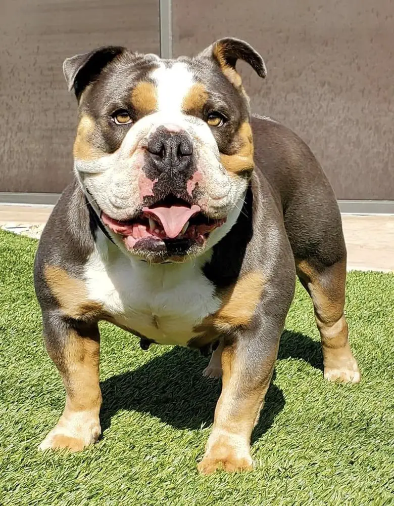 Poppa’s Venus