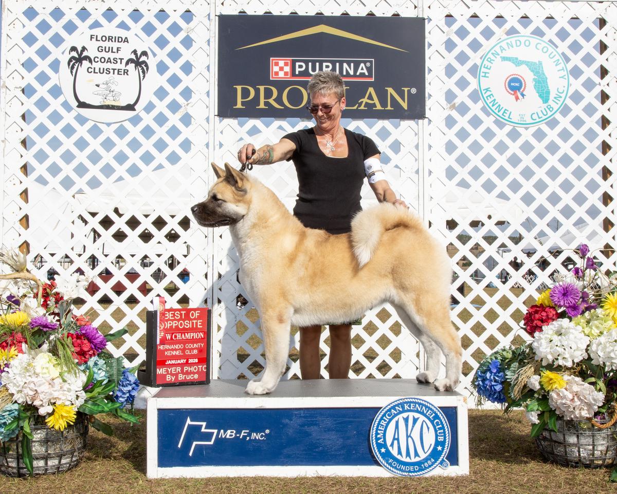 Sundara & Denali’s Arctic Kiss