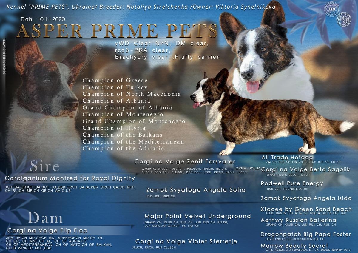 ASPER PRIME PETS