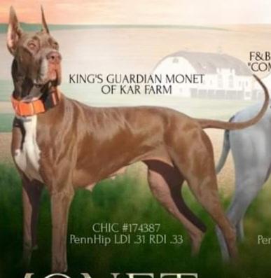 King's Guardian Monet Of Kar Farm