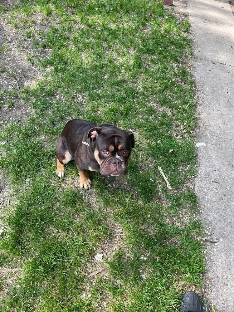 Shoreline's Gotti