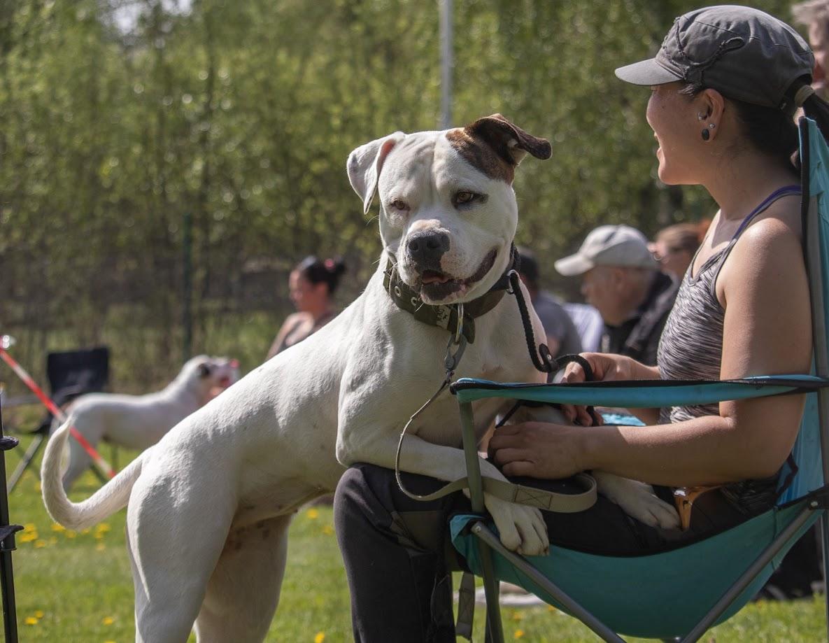Excellent´s Classy Betty