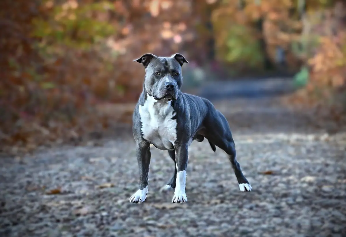 Charlie Blue z Bílinského pramene