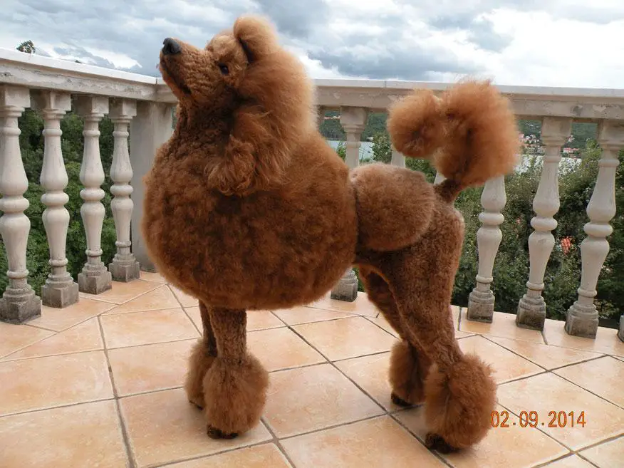 GABANA DOLCE MINARETT