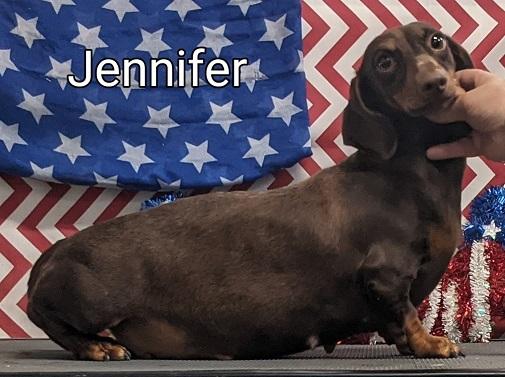 HR Tsunamis Lady Jennifer MS