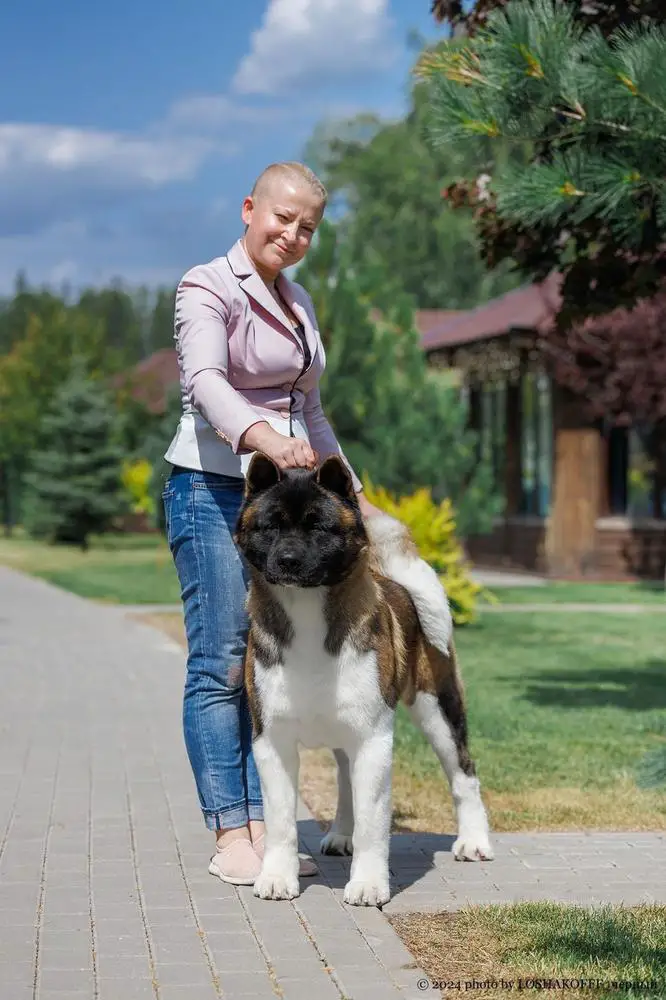 Triumf Sibiri Gector Donskaya Liberiya