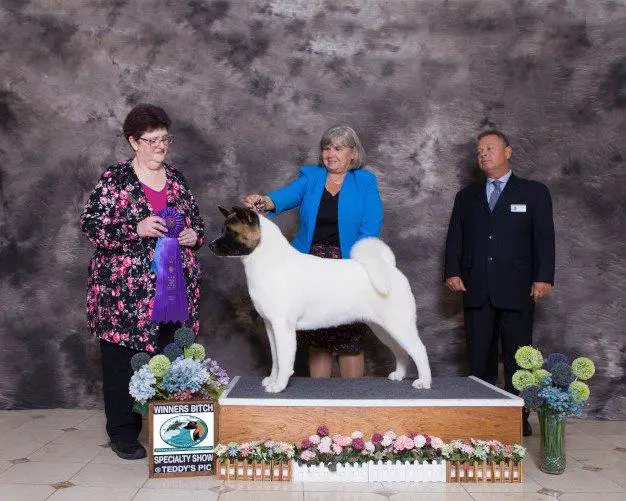 S.L. Siberia Svobodnyydukh