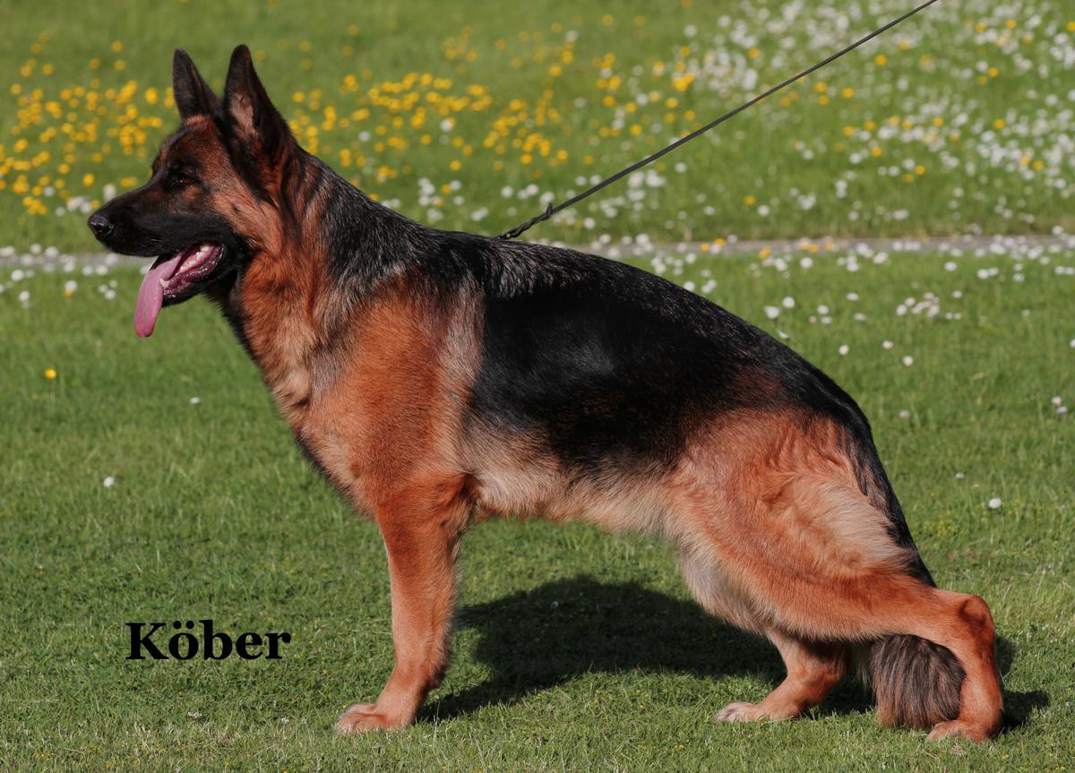 Toskana aus Wattenscheid