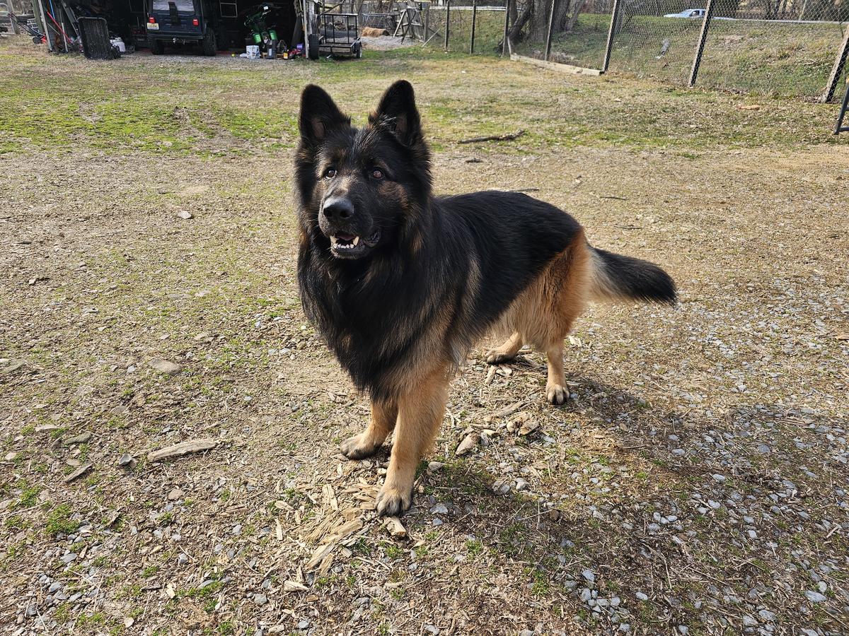 Sir Atreyu Von Ridner