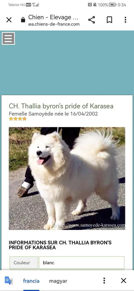 Thallia Byron's Pride of Karasea