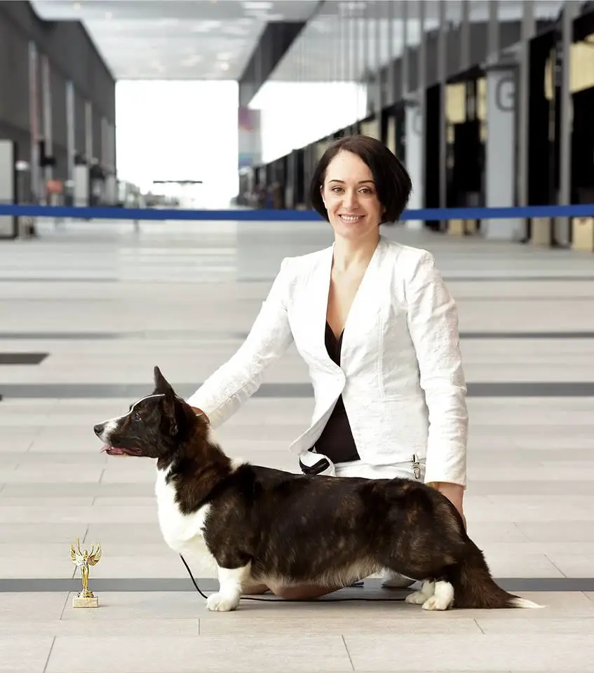 STYL LIFE GALINA ULANOVA