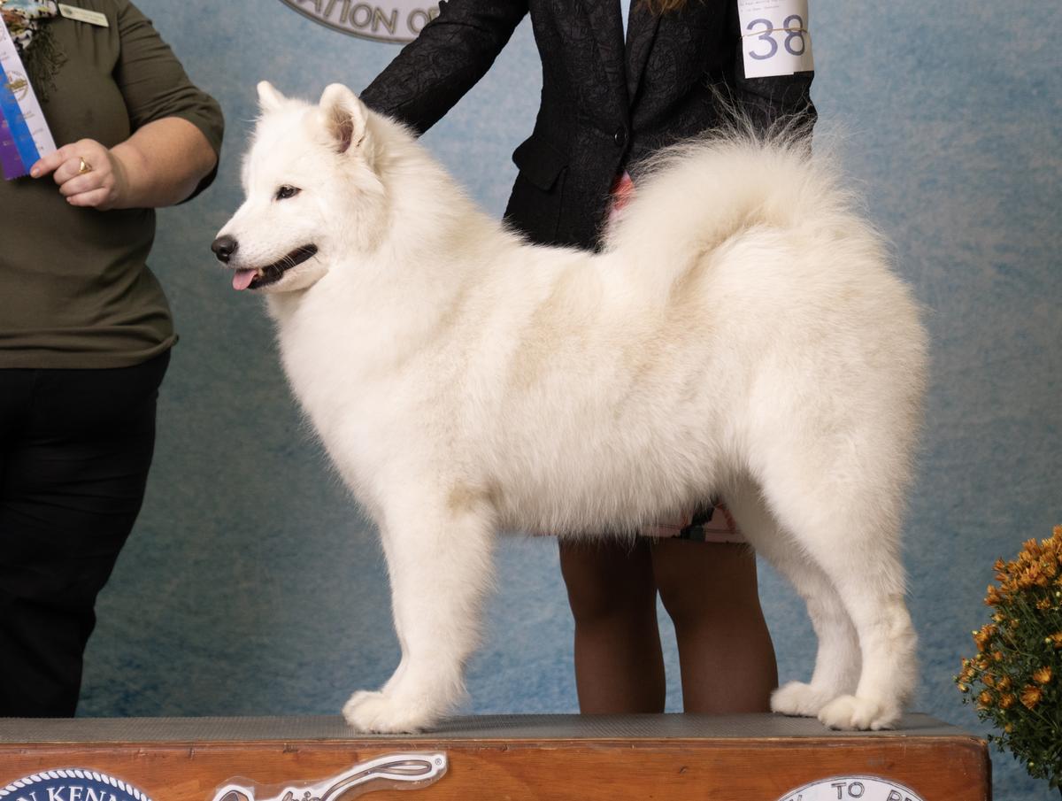 Niwot's Master Of Everything Muggle