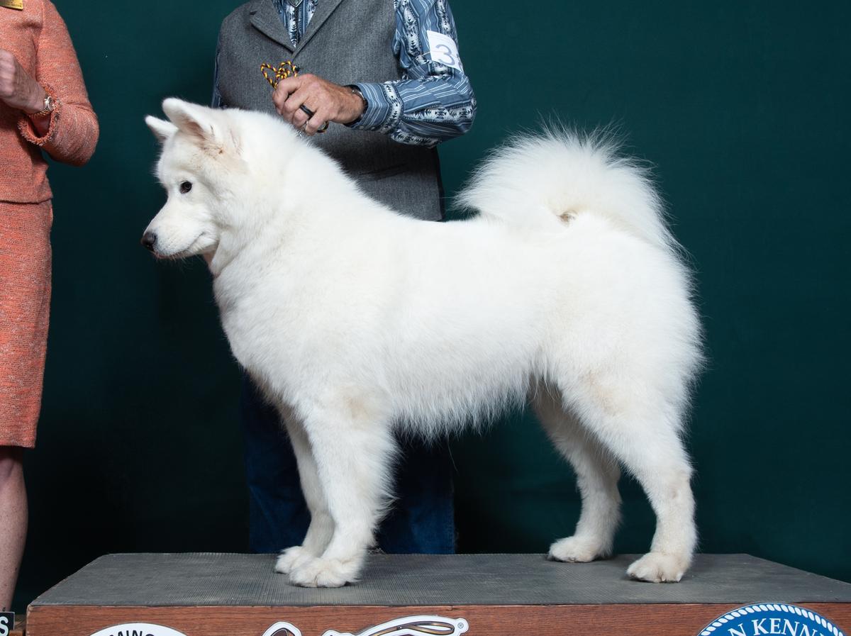 Fionntan's The Best Of You At Niwot