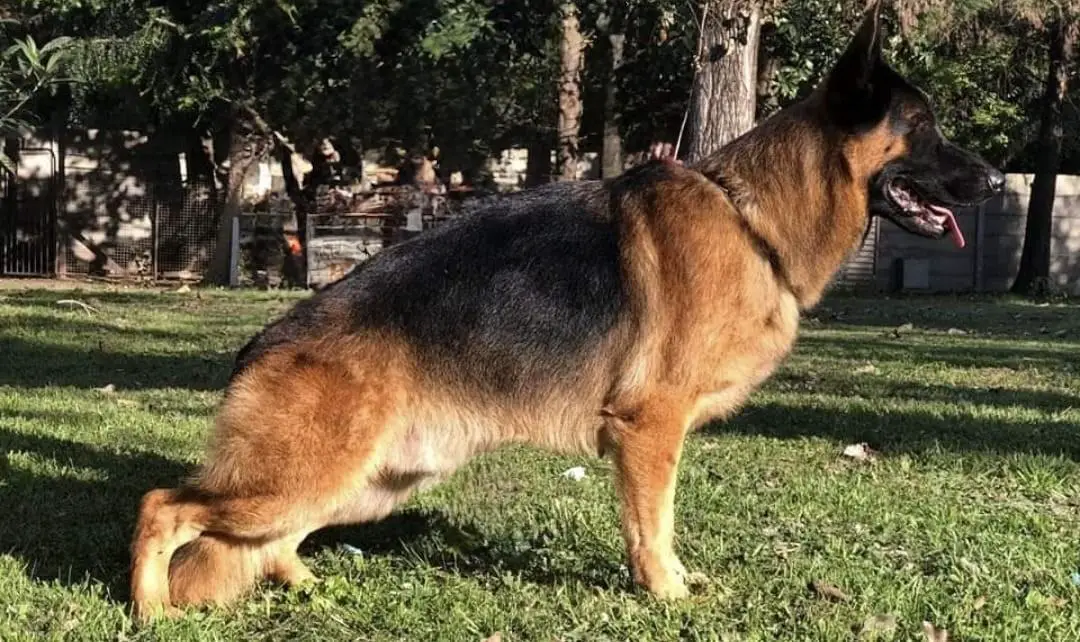 Khaleb von Cabot Land