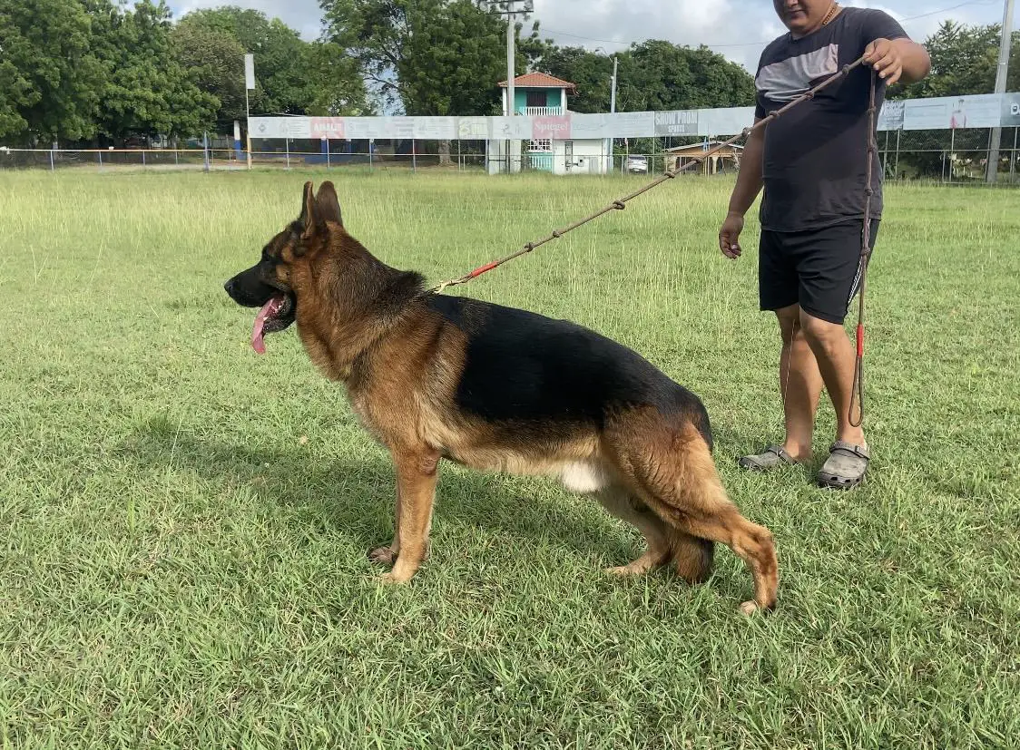 Etó de Tierra Perdida
