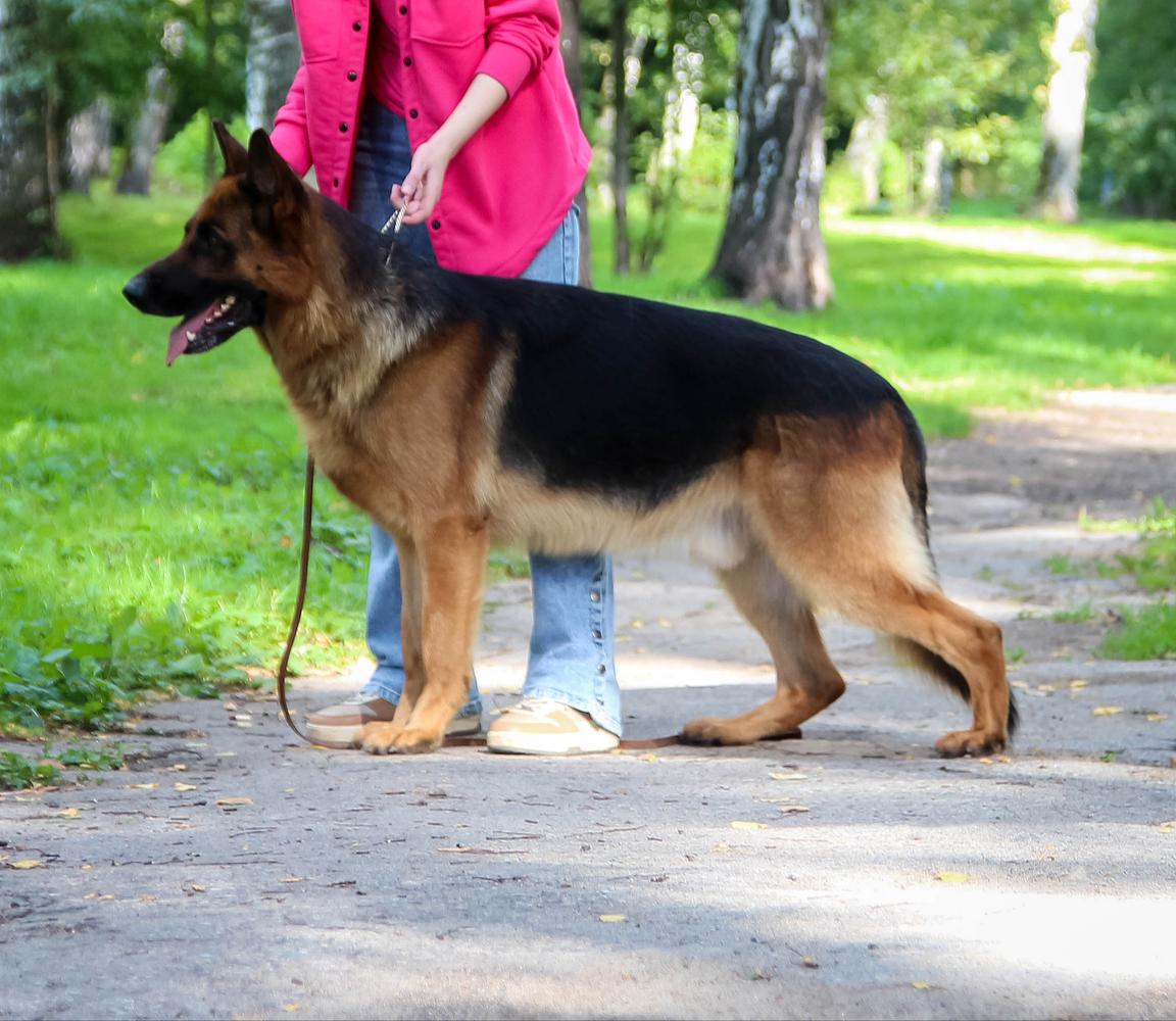 Ares iz Kuznetskgrada