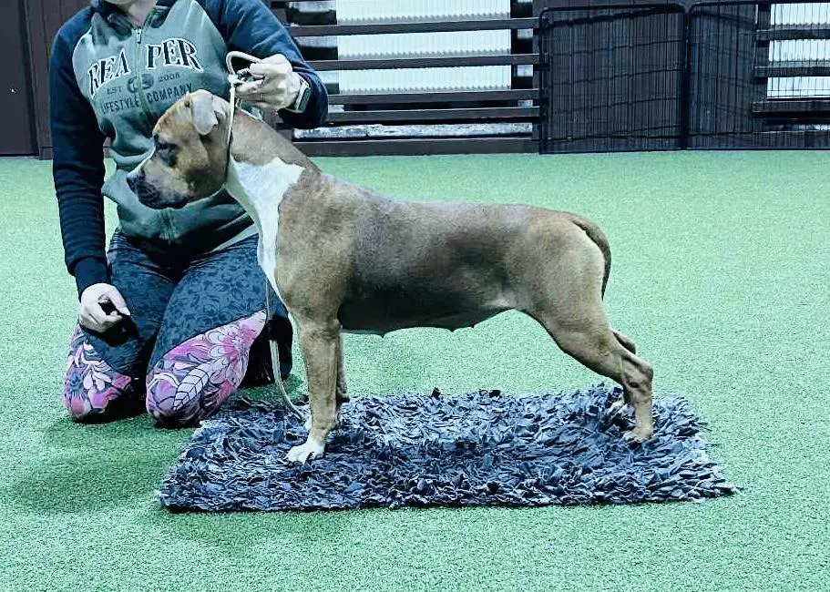 Dakota South Side Staff