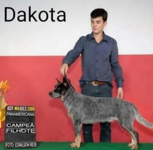 Dakota