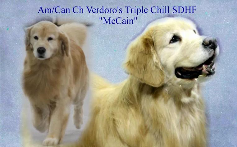 Verdoro's Triple Chill