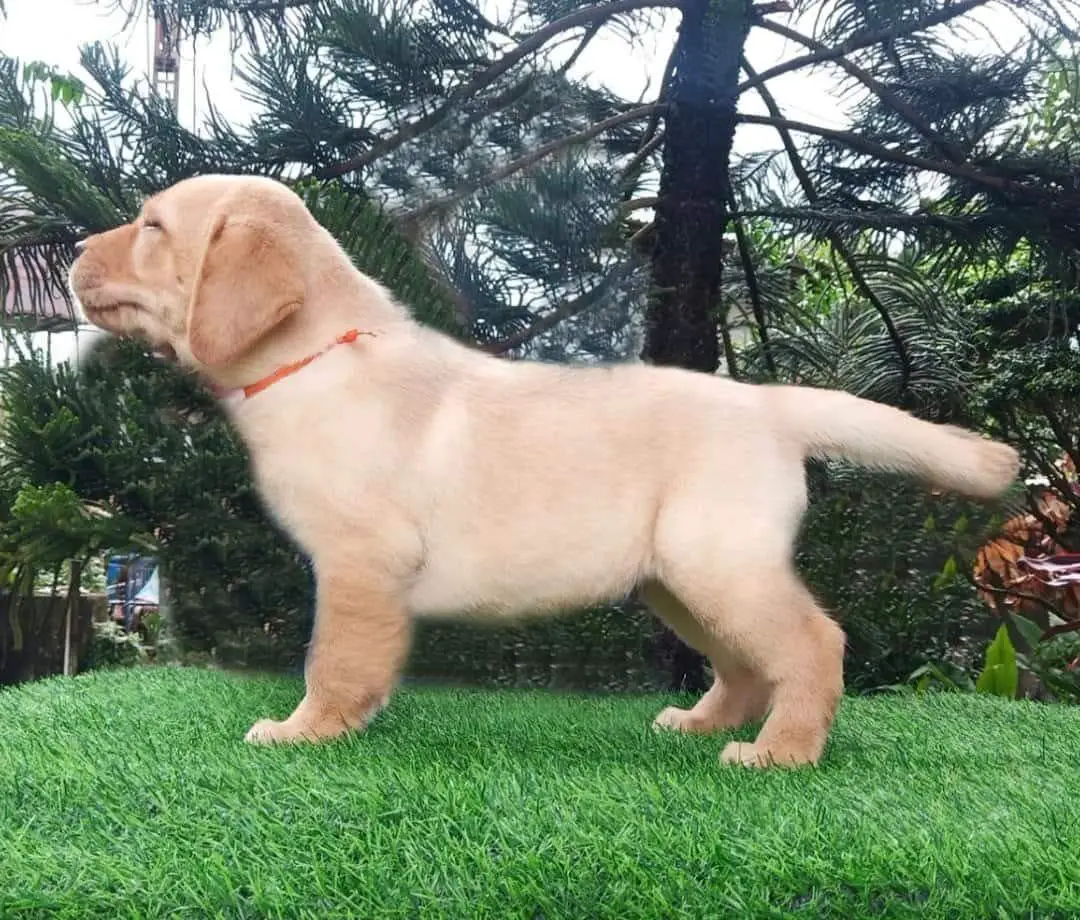 Propeta's Yeonjun