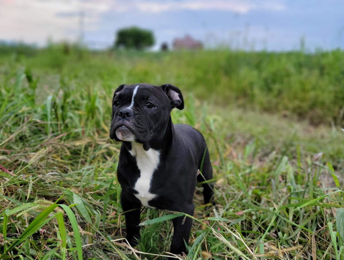 KKBF Winnie