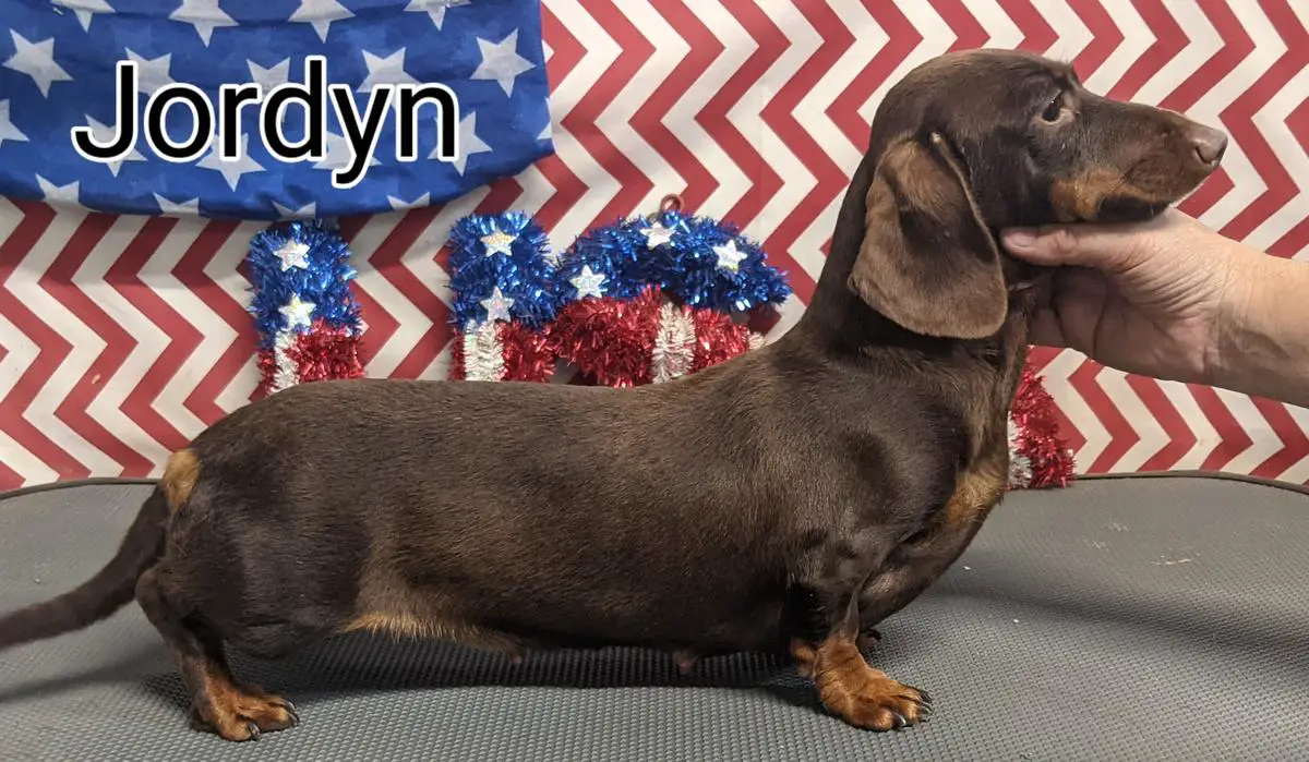 HR Tsunamis Lady Jordyn MS