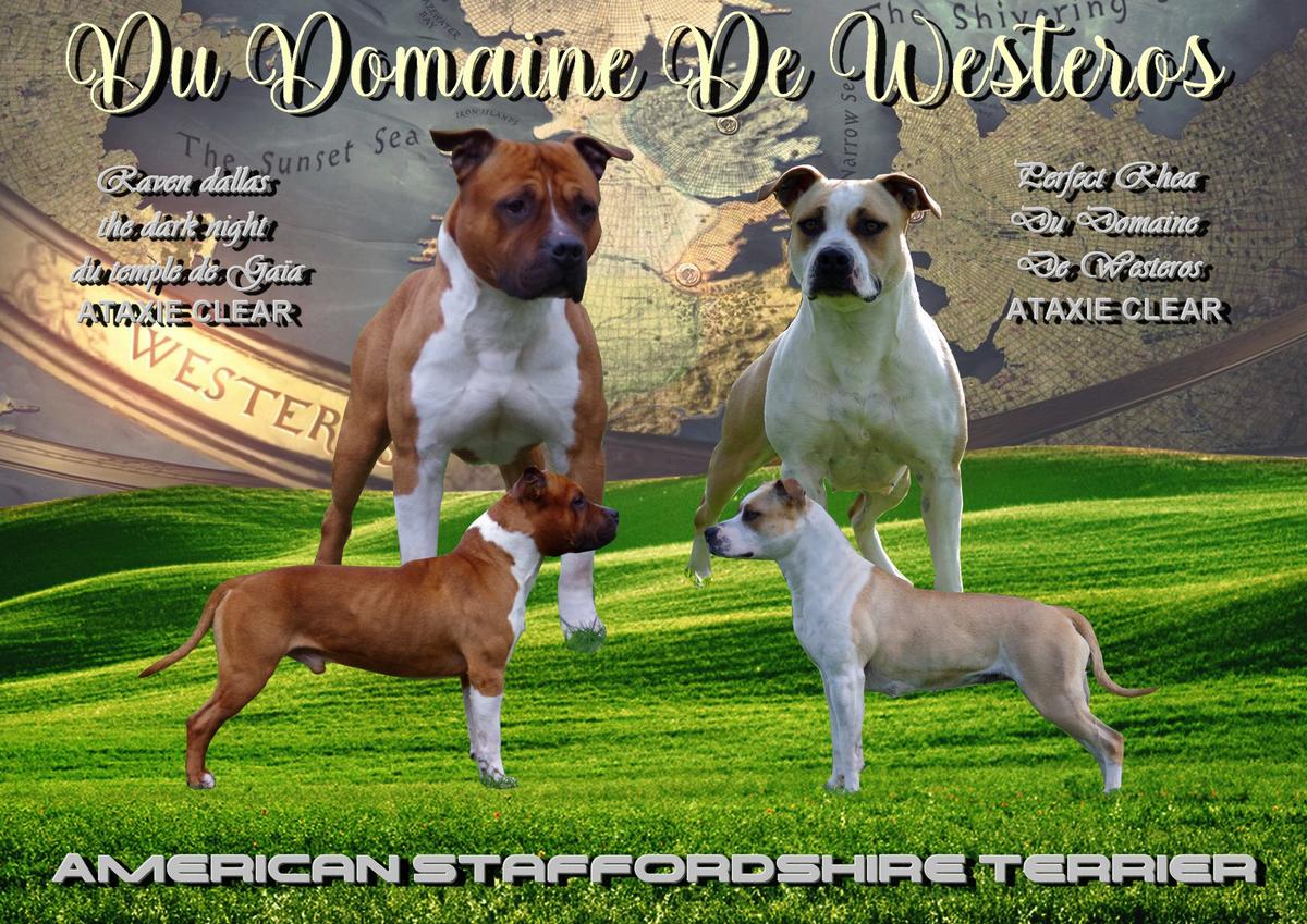 The thanos du domaine de westeros