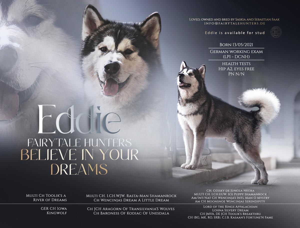 Fairytale Hunters Believe in your dreams