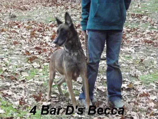 4 BAR D'S BECCA