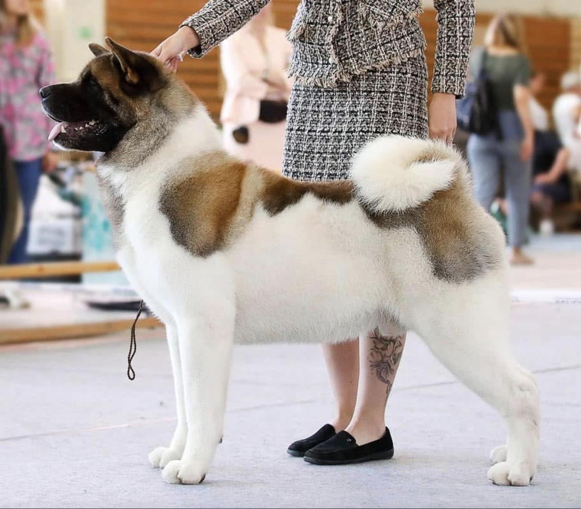 Valgrand Victory Esper Runefang