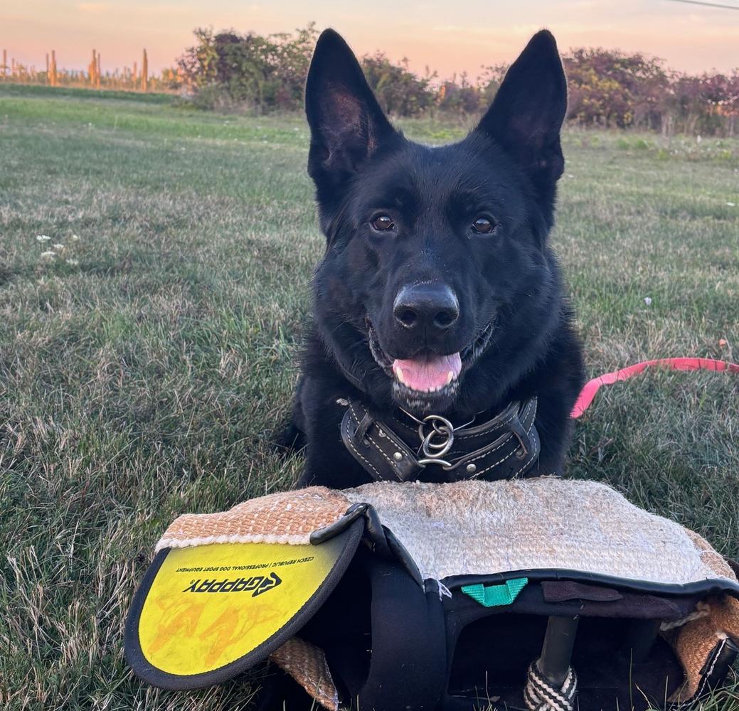 Azlan od Uparty Boryk