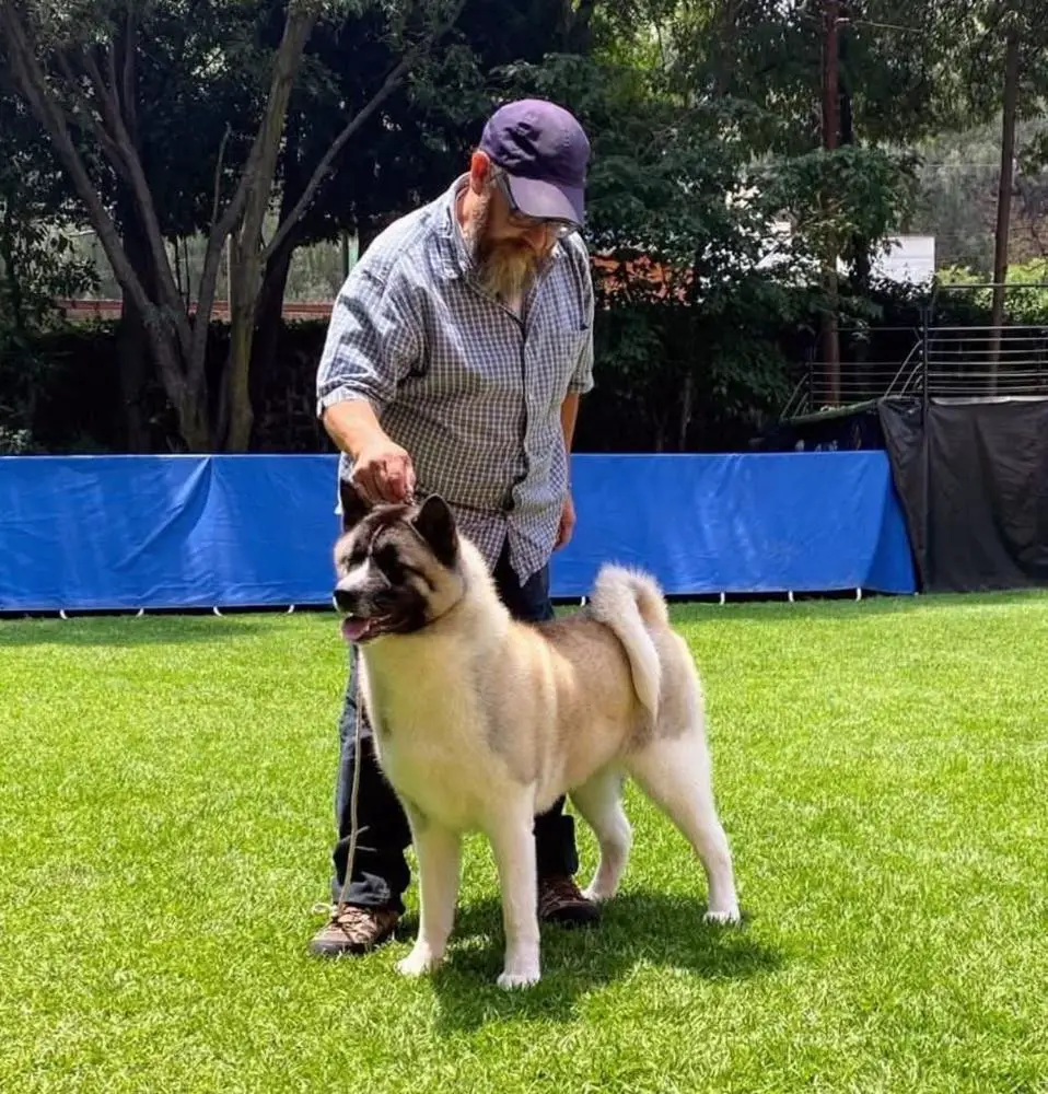 Chaman Carmen (Guzman)