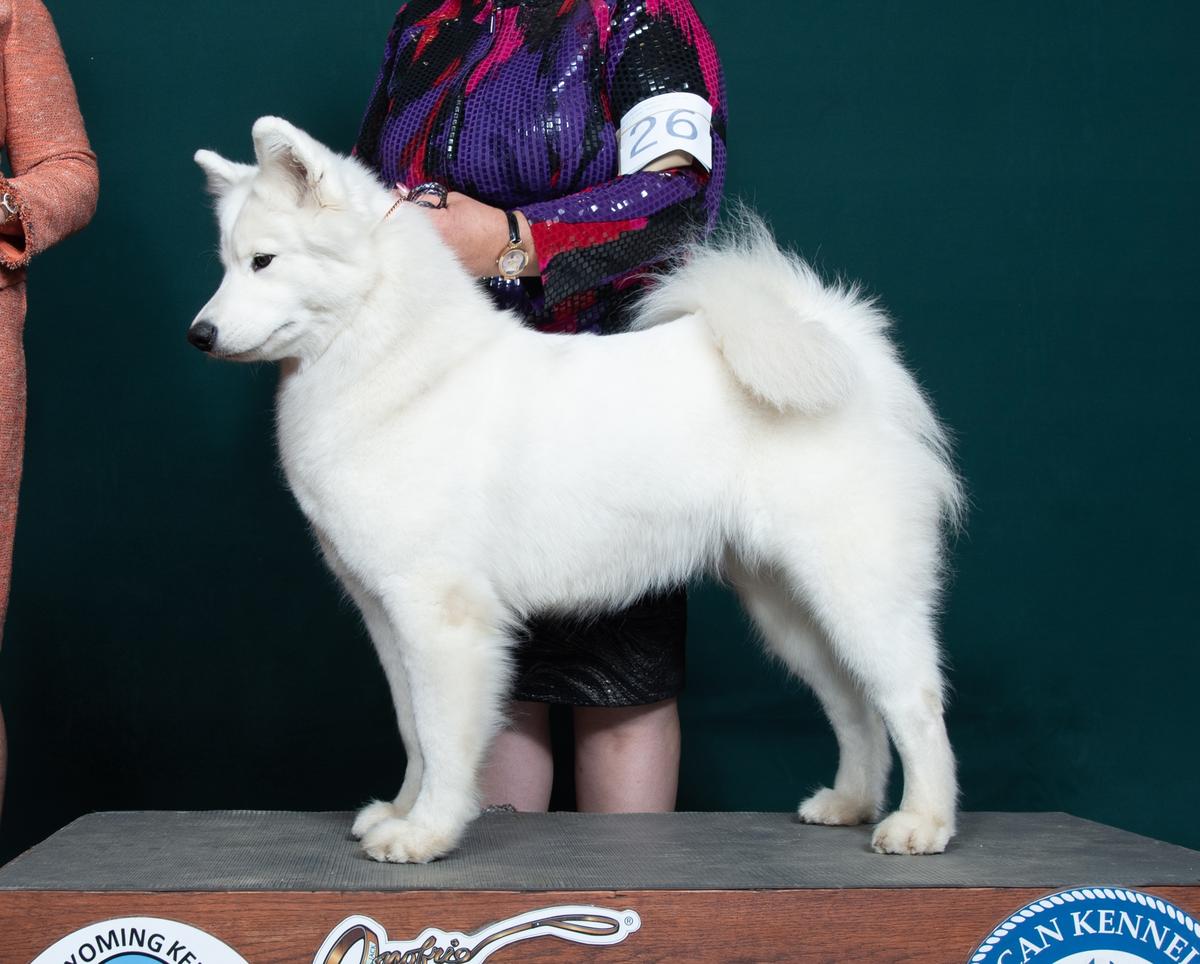 Niwot N 5M From the Sphere of Happiness