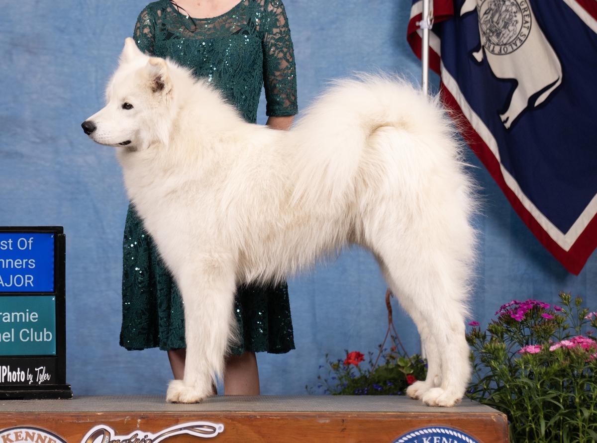 Niwot N 5M Boldly Breaking The Rules