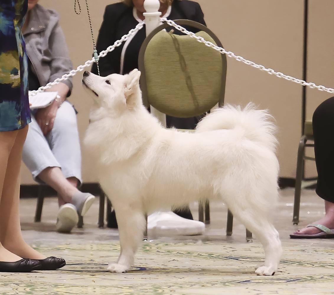 Niwot's Happily Dancing with Nymphs