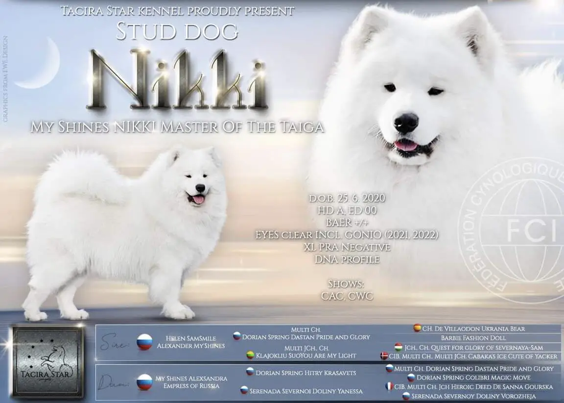 My Shines NIKKI MASTER OF THE TAIGA