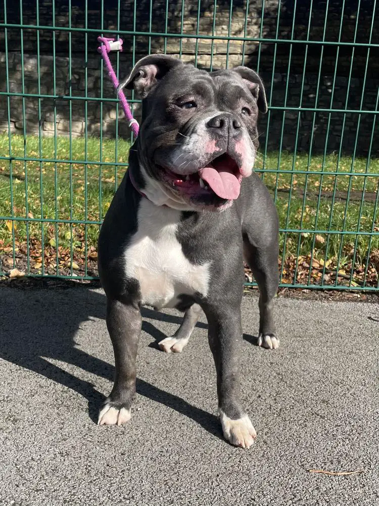 BULLZBEYOND NARLA