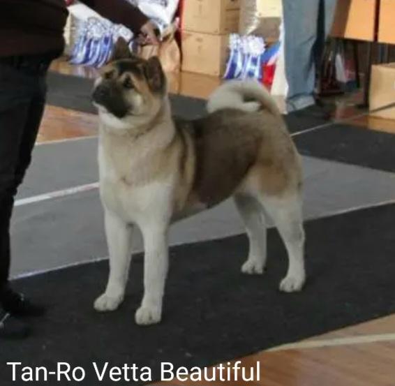 Tan-Ro Vetta Beautiful