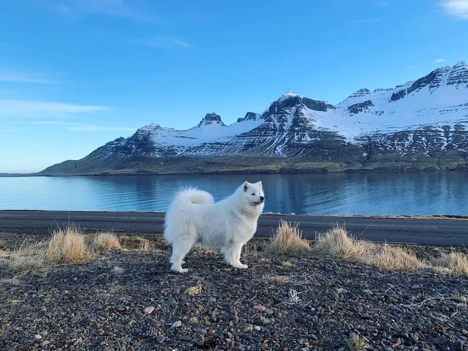 Norðurdals I Have Seen The Rain