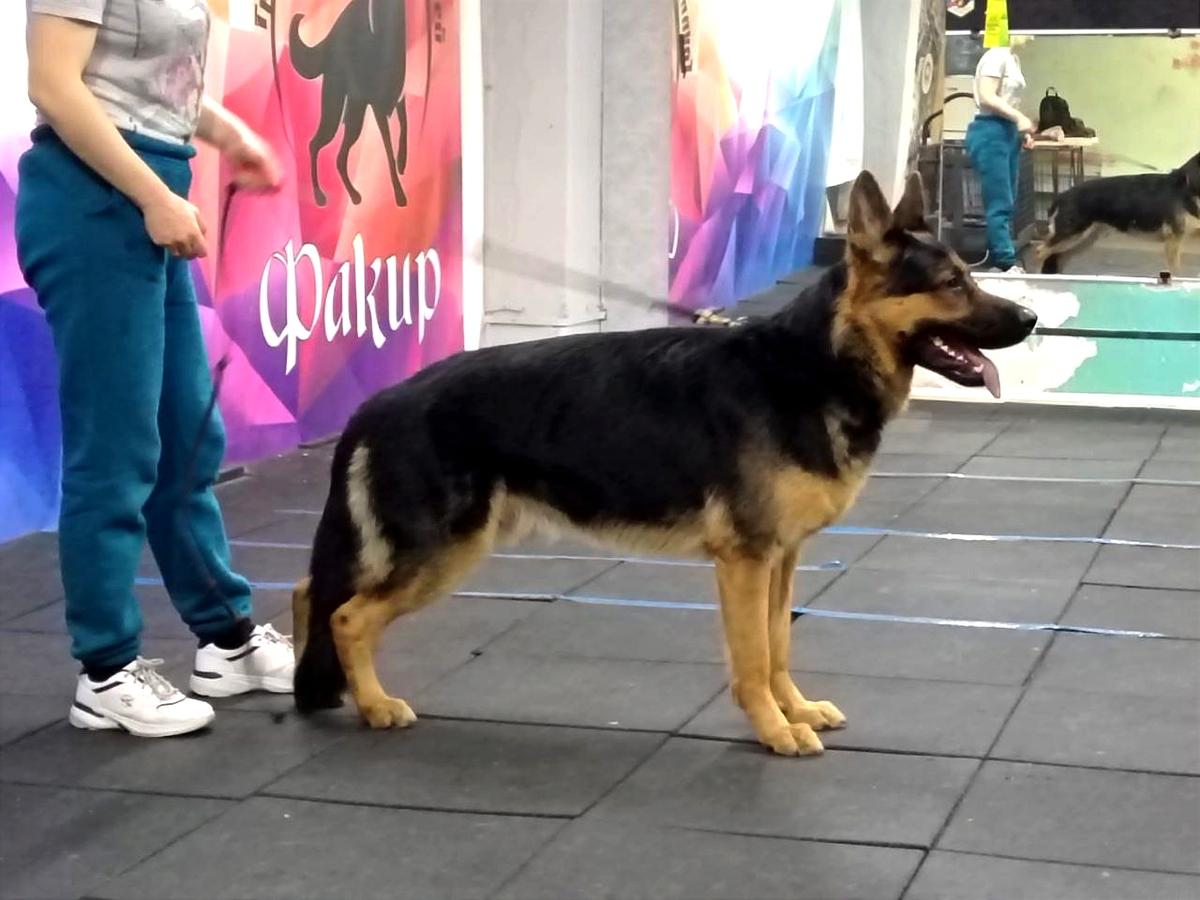 BTR iz Kuznetskgrada