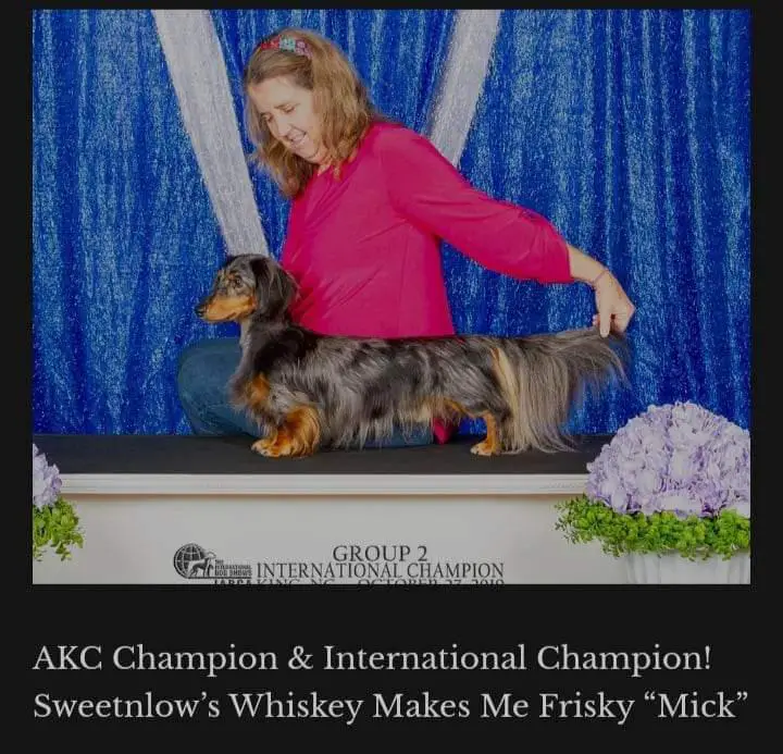 Sweetnlow's Whiskey Makes Me Frisky