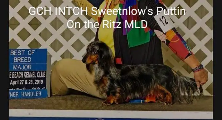 Sweetnlow’s Puttin on the Ritz