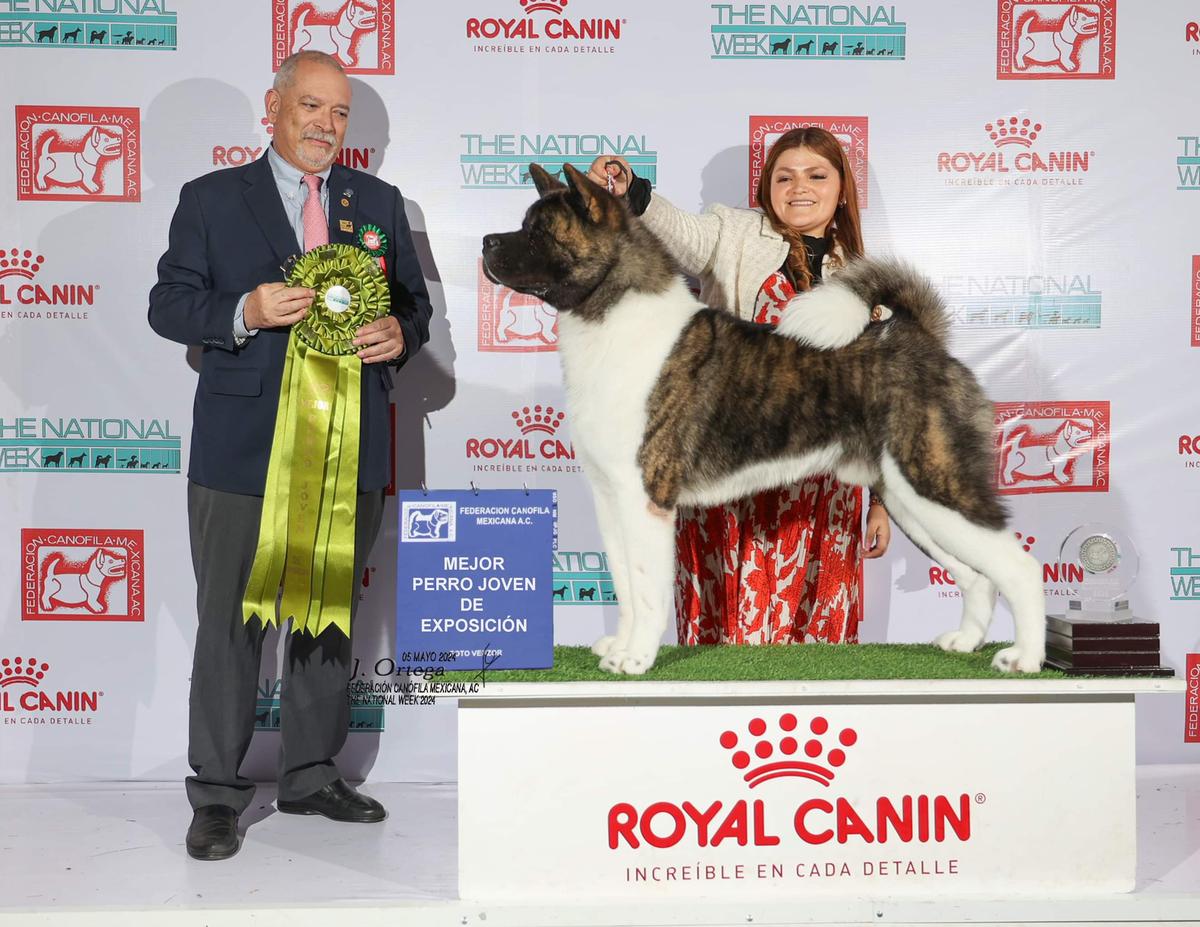 Bona Bollars Russian Total Size