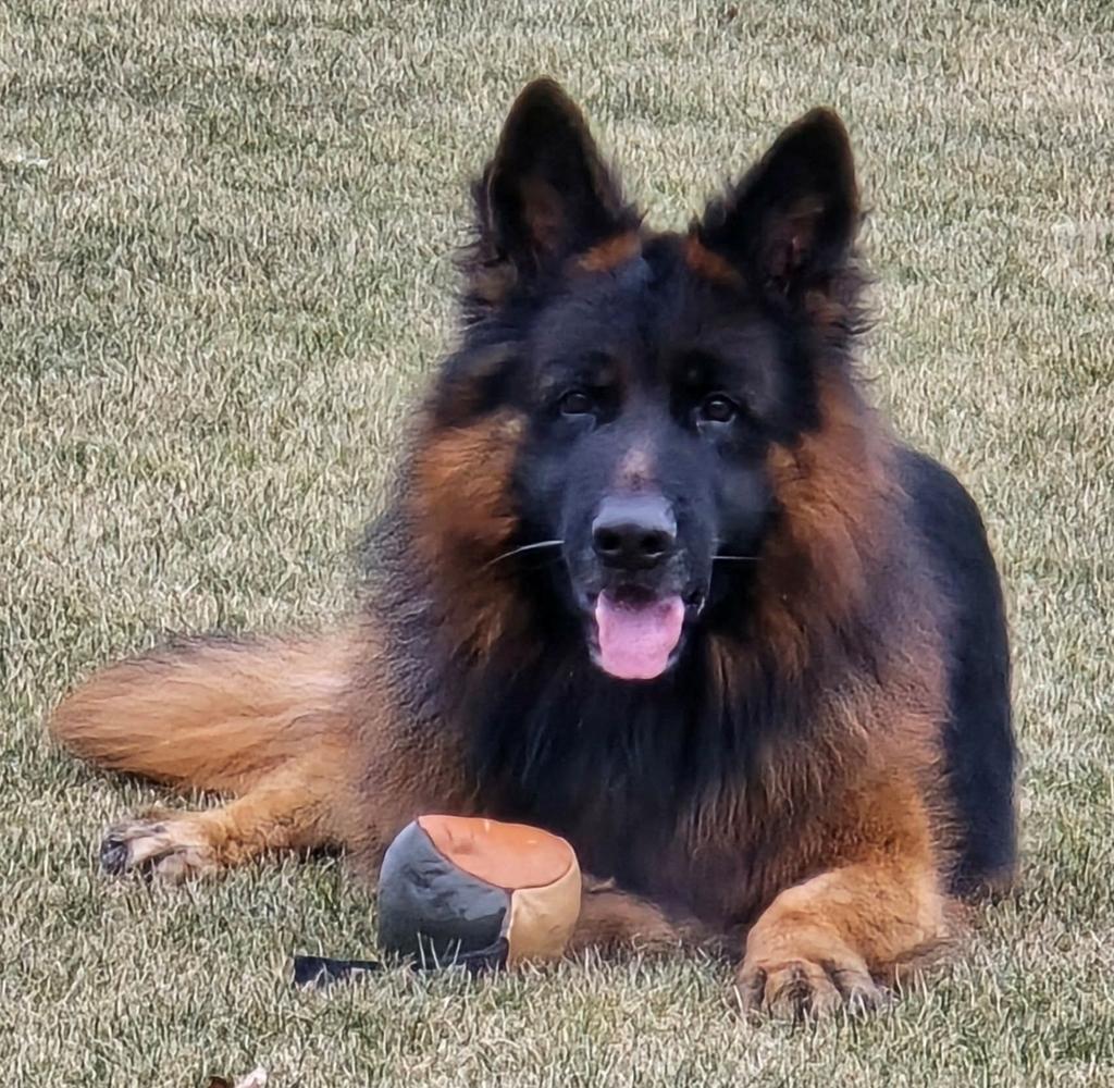 Bordeaux vom Pendler