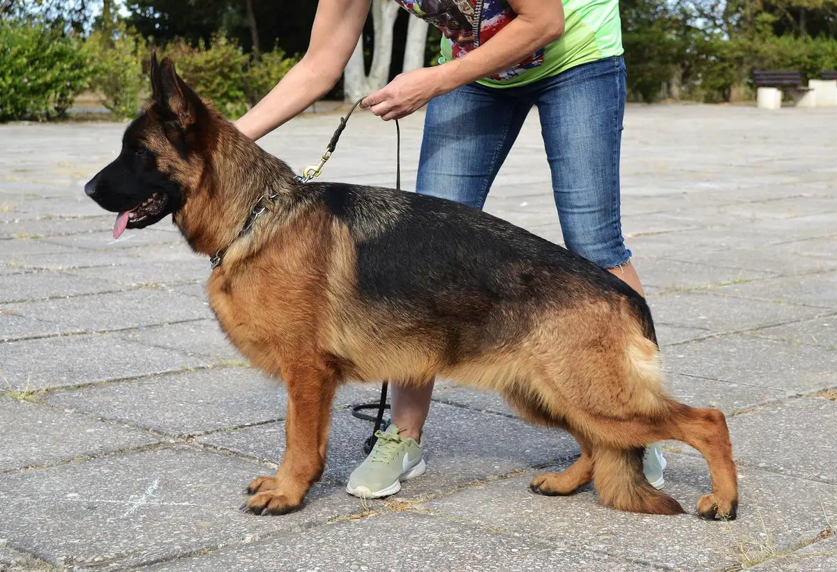 Elena Prekrasnaya s Samogo Chjornogo Morja